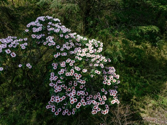 摄影师：郭思思