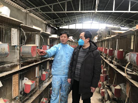 查看兔舍据了解,炭洞子村肉兔养殖合作社通过为贫困户免费提供兔苗