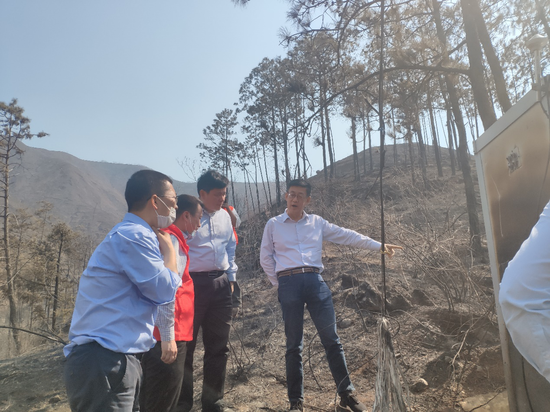 中国移动四川公司各级党组织全力保障凉山森林火灾网络生命线畅通