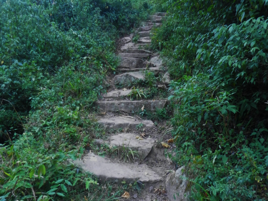 　　▲千年古道：距今1300多年，是早期村落对外联系的主要道路。是先辈们就地取材，人工挖凿山石，铺砌而成。