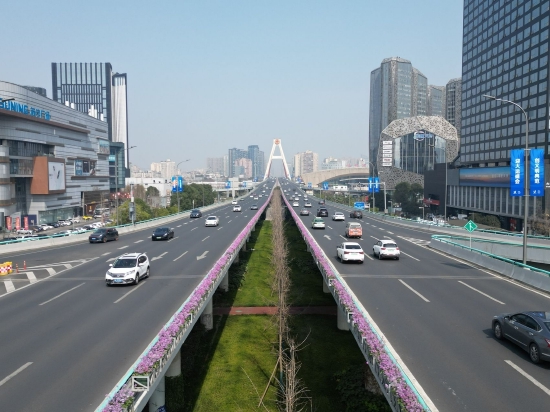 天府大道北段高架桥面的花卉布置。