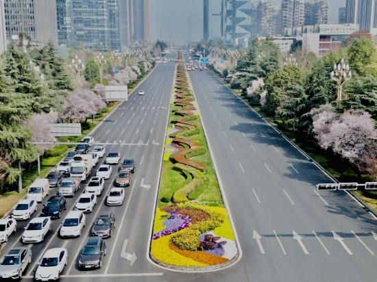 天府大道沿线的花卉景观打造。