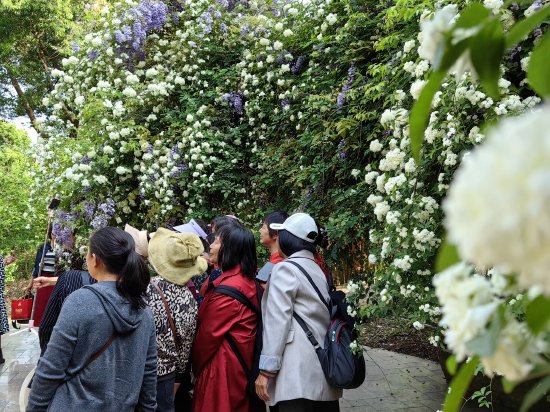 图据成都市植物园