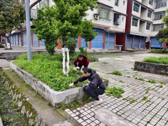 牌坊社区场镇广场除草整治-李芳摄