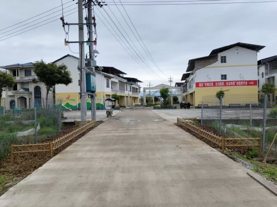 绿水村居民区栽种向日葵-官父元