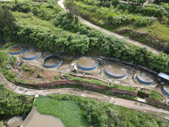 碑庙镇石笋村水产养殖基地