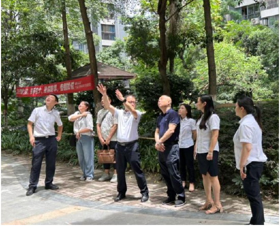 新都区行政审批局 供图