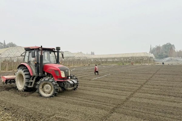 守护“菜篮子”！都江堰菜农搭起“安心棚”