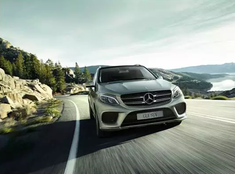 为什么树懒开车疯狂因为ta在保驾护航