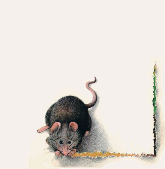 《小老鼠无字书》