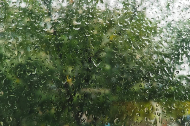 四川省氣象臺發布暴雨藍色預警：這6市有暴雨