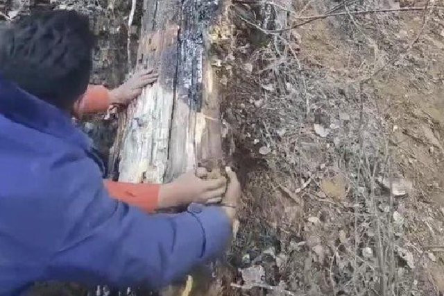 甘孜州成功避险一起雷击森林火情 被应急管理部表扬