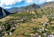 繪就美麗鄉村新畫卷