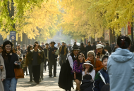 冬日暖阳相约银杏树下