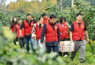 红马甲田间地头助农忙