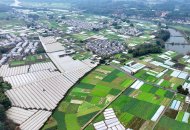 春意盎然乡村美