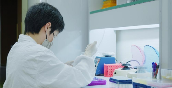 自由点的研发团队科学选育菌株