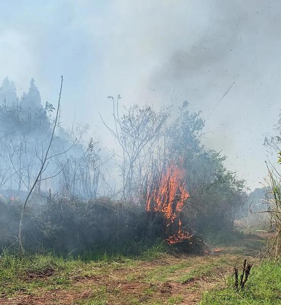 近期山火频发,大英消防提示注意防火