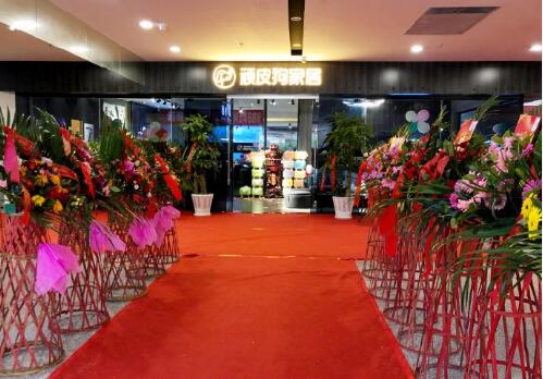 达州永春家具顽皮狗家居开业盛典在华美立家隆重举行