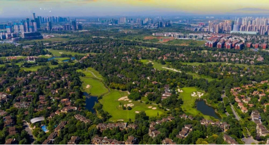 面向社会公开征集万安街道雅韵路环境美化设计方案