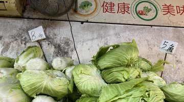 萝卜批发价跌至2毛