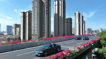 成都二環高架橋面再現姹紫嫣紅