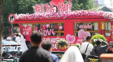 蓉城囍事！2025年成都结婚登记数据出炉