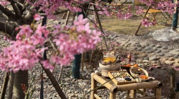 青城山下花间新场景催生“热经济”