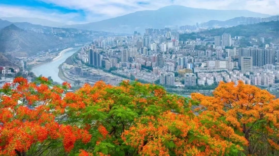 攀枝花市全景（王东 摄）