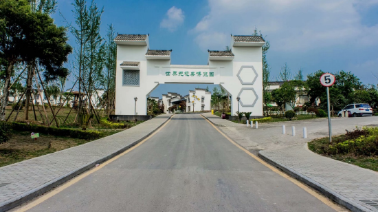 威远县文广旅局 供图