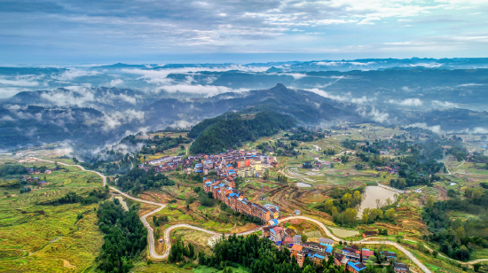 达州通川:扛实主城核心责任,建设现代农业强区_新浪四川_新浪网