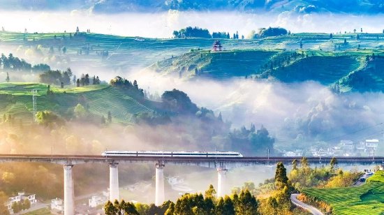 动车穿过雅安茶山，被网友称为现实版“千里江山图” 摄影/C视觉 黄刚