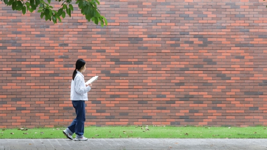 持之以恒 高诗怡 摄