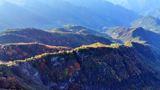 图为：10月22日拍摄的巴山大峡谷彩林壮锦