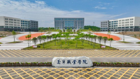 遂宁高新区:厚植为民情怀 用初心托举万家灯火_新浪四川_新浪网