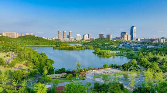 遂宁高新区:厚植为民情怀 用初心托举万家灯火_新浪四川_新浪网