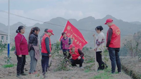 送技术到田间