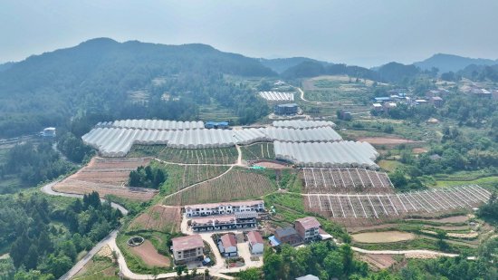 达州市通川区金石镇百纳农场