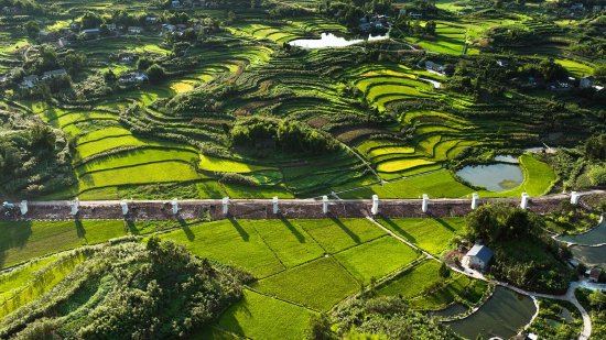 西渝高铁大竹段施工场景 图/李向芬