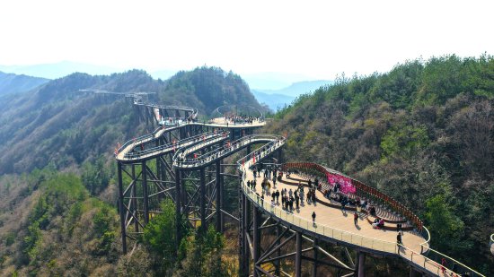 月亮坪乡村振兴示范区树冠云廊人气火爆