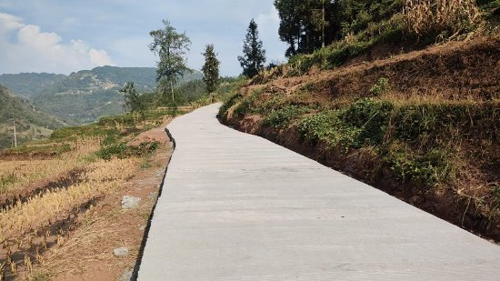 白马镇沙坪村硬化后的水泥路