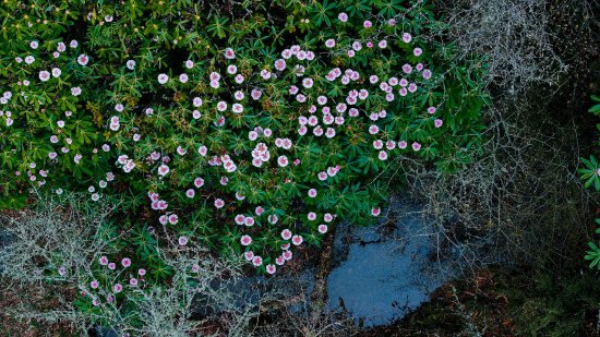 摄影师：张家宁