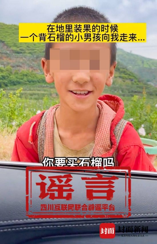 “9岁娃卖石榴”为虚假摆拍视频