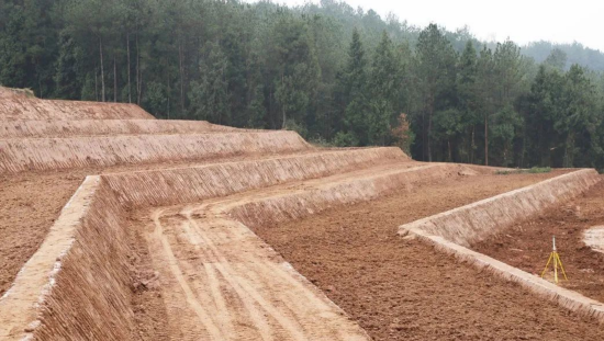 筑牢耕基绘就好丰景通川高标准农田建设奏响冬日进行曲