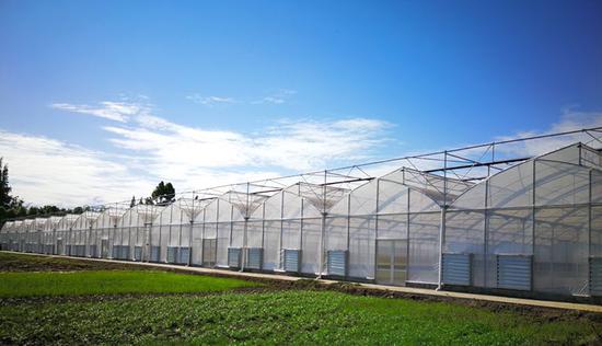 理塘县极地果蔬产学研合作暨产业扶贫对接会召开