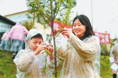 3月12日，泸州市纳溪区亲子植树活动中，小朋友和家长一起为种下的树苗挂牌。廖胜春摄(视觉四川)