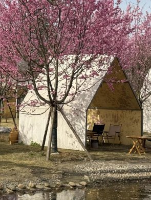 青城山下花间新场景催生“热经济”