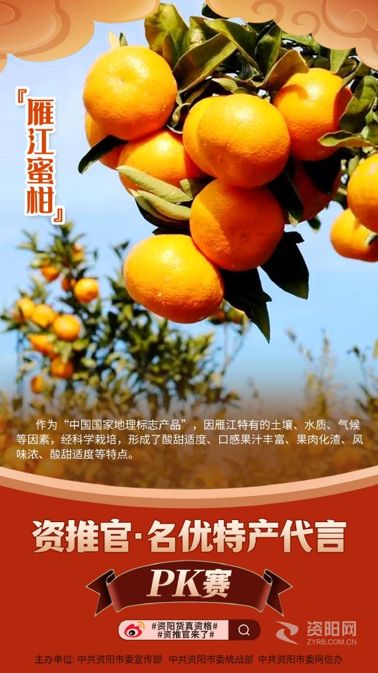 资阳市委宣传部 供图