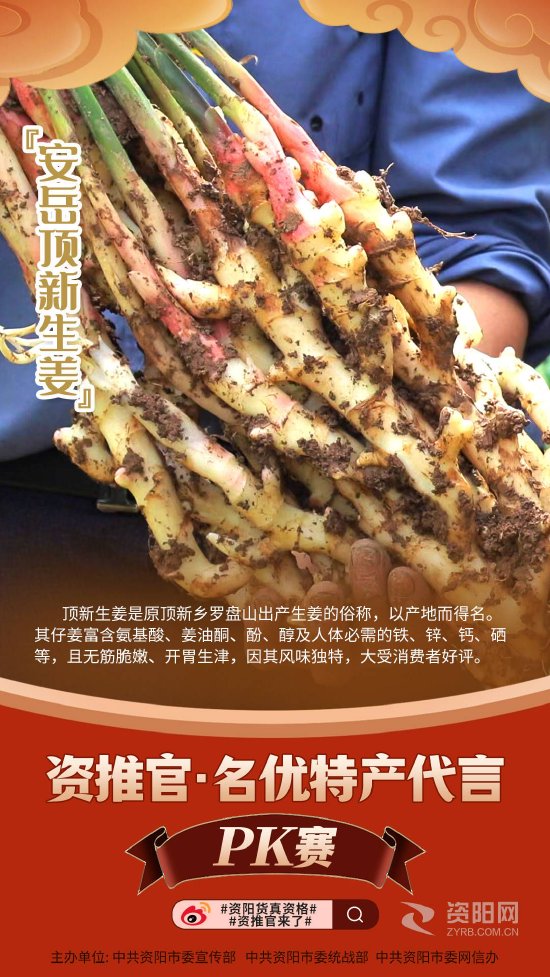 资阳市委宣传部 供图