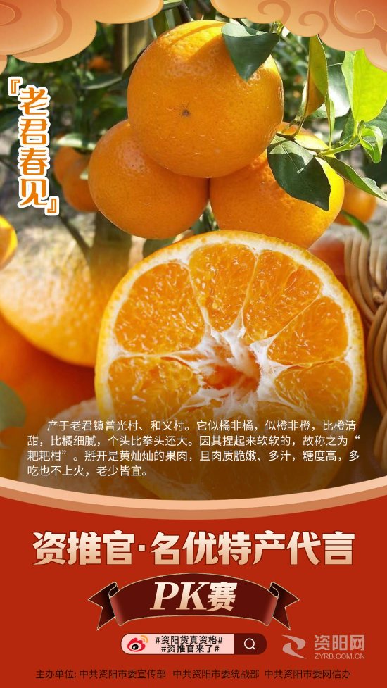 资阳市委宣传部 供图